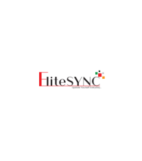 Elitesync
